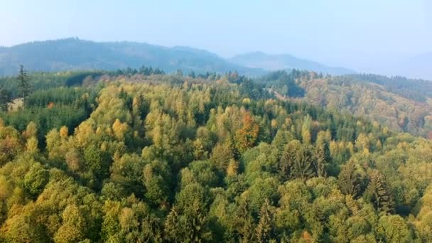 Aerial View Wide Landscape Black Forest Germany — Stock video