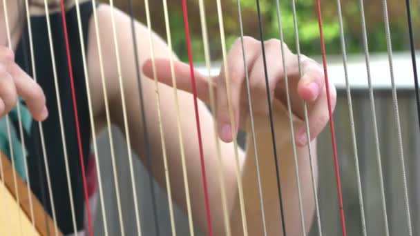 Hand Picking Strings Harp Closeup Harp Player Slow Motion — Stockvideo