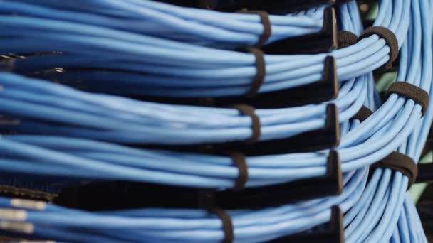 Close Uprack Focus Rows Blue Networking Cables Hooked Server Rack — Vídeos de Stock