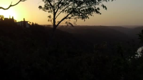 Pan Tree Bush Sun Sets Background — стоковое видео