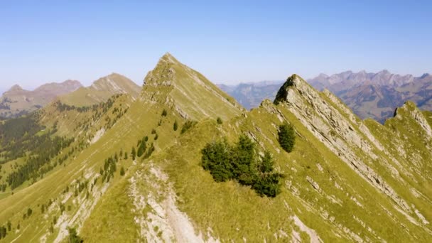 Low Flight Steep Grassy Peaks Cape Moine Vaud Switzerland — Stok video