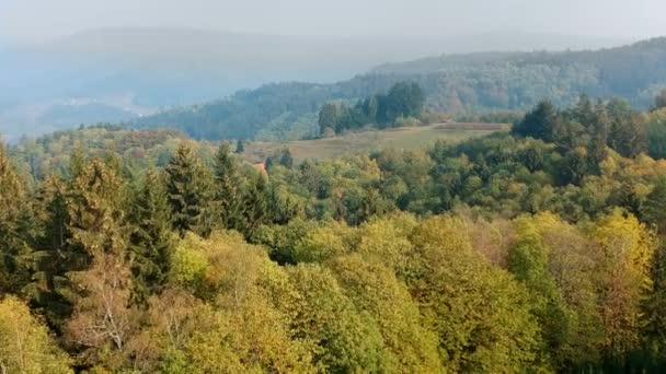 Aerial View Wide Forest Landscape Lautenbach Germany — Vídeo de Stock