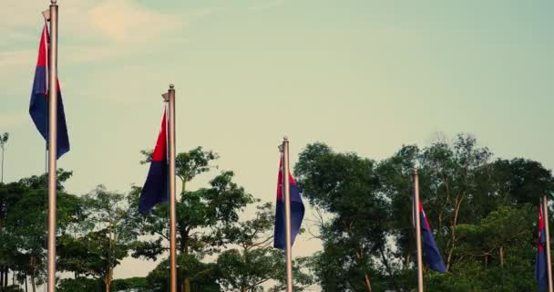 Johore Flags Waving Evening Independence Park — 비디오