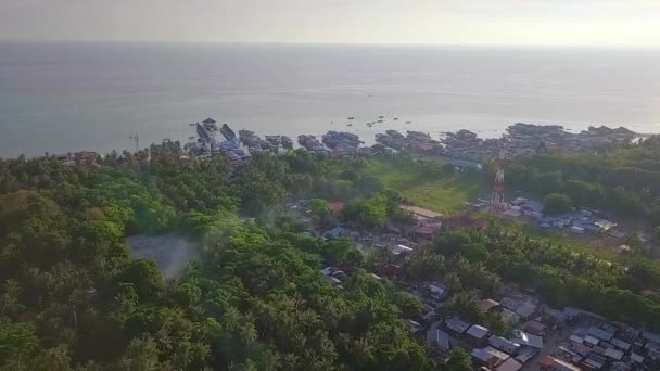 Aerial Flight Forest Ocean Malaysia Wide Distance Shot Moving Forward — Stock Video