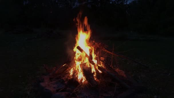 Burning Logs Slow Motion — Stok Video