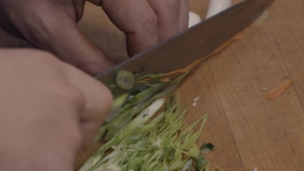 Close Cook Slicing Scallions Kitchen Restaurant — стоковое видео
