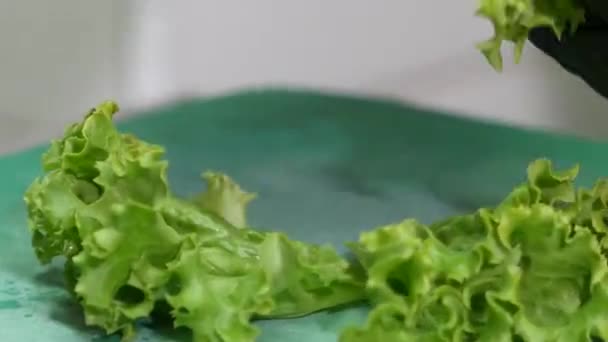 Close Gloved Hand Plating Lettuce Garnish Presentation Serving Main Course — Αρχείο Βίντεο