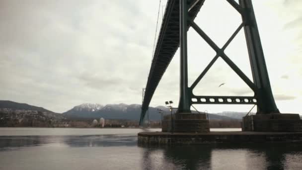 Seagull Flying Lions Gate Suspension Bridge Stanley Park Vancouver Cloudy — Stockvideo