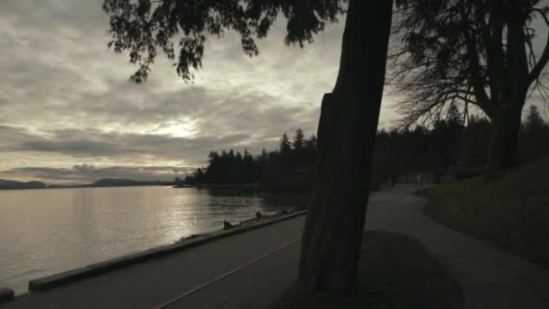 Wide Dynamic Shot Dark Morning Atmosphere Stanley Park Seawall Trail — Stock Video