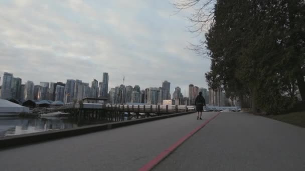 Wide Backward Moving Shot Man Walking Stanley Park Morning Vancouver — Stock Video