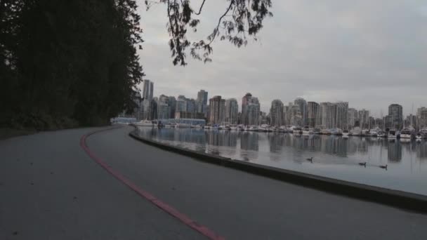 Wide Shot Boats Ducks Marina Morning Vancouver West End Slowmotion — Stock Video