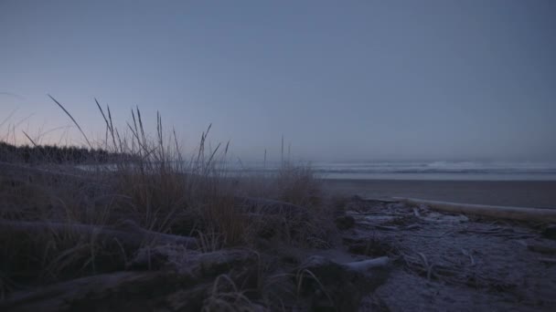 Frozen Grass Sand Wild Beach Winter Cold Morning Tofino Canada — Stock video