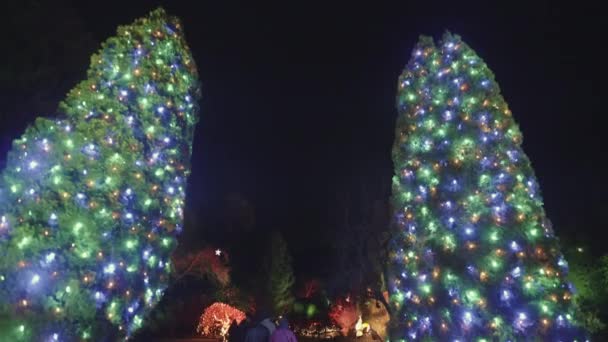 Two Decorated Trees Colorful Christmas Lights Path Garden Night — 图库视频影像