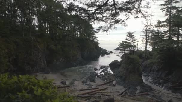 Wide Shot Browns Beach Ucluelet Vancouver Island Canada — Stockvideo