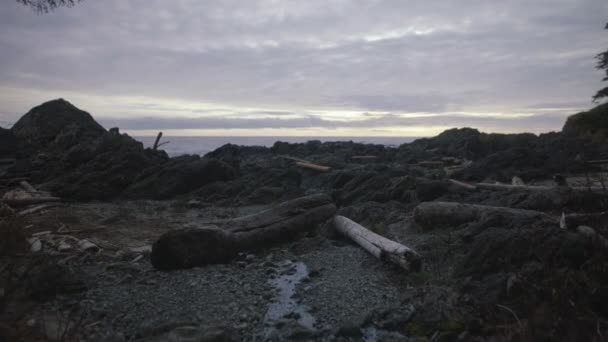 Wide Dolly Shot Wooden Logs Rocky Beach Twilight Ucluelet Vancouver — 비디오