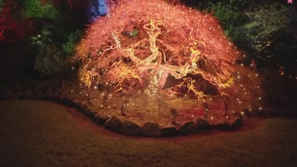 Trees Garden Decorated Lit Colorful Lights — Vídeos de Stock
