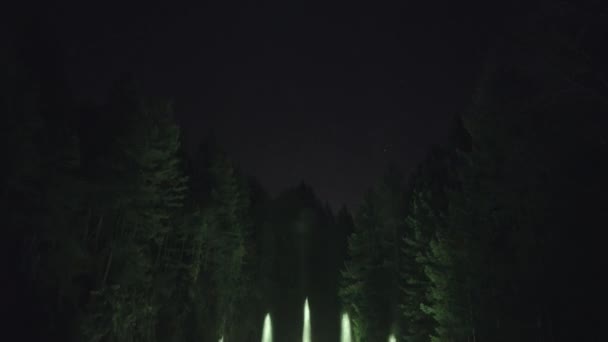 Wide Shot Color Changing Fountain Lake Surrounded Forest Tilt Night — Vídeo de Stock