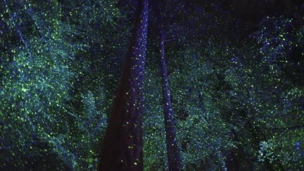 Wide Dynamic Shot Trees Lit Green Blue Dots Light Effect — 图库视频影像