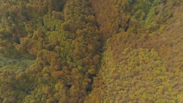 Aerial Footage Wild Forests Balkan Peninsula Autumn Period — Stockvideo