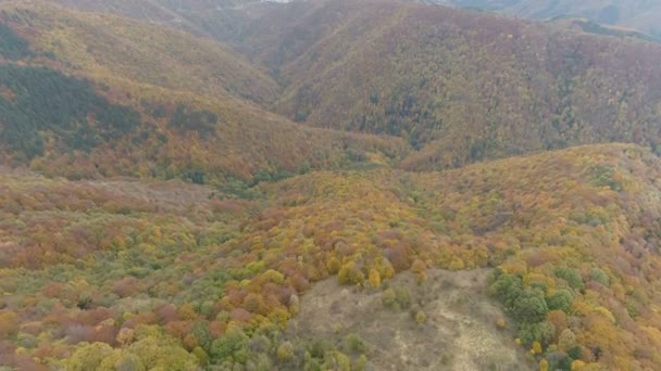 Aerial Fly Vast Expanses Balkan Woods Autumn — Stockvideo