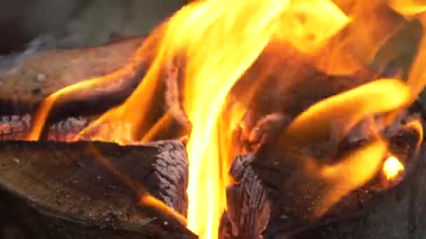 Closeup Swedish Torch Log Fire Slowmotion — Stock Video