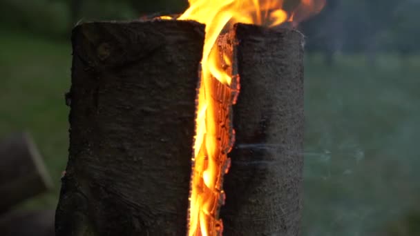 Swedish Torch Side Scandinavian Log Fire — Stock Video