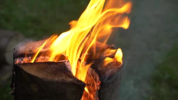 Swedish Torch Diy Solution Heating Nature — Vídeo de stock