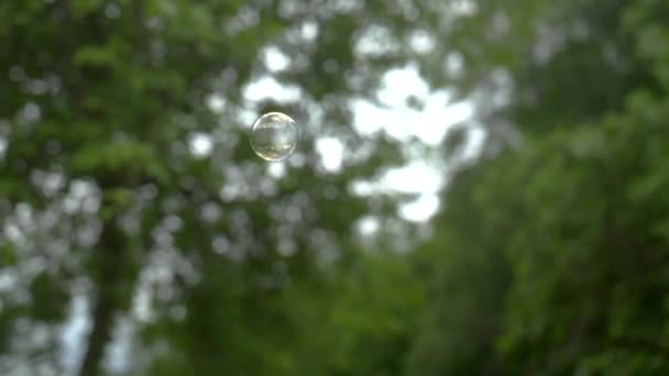 Soap Bubble Bursting Slow Motion Soap Bubble Floatin Air — ストック動画