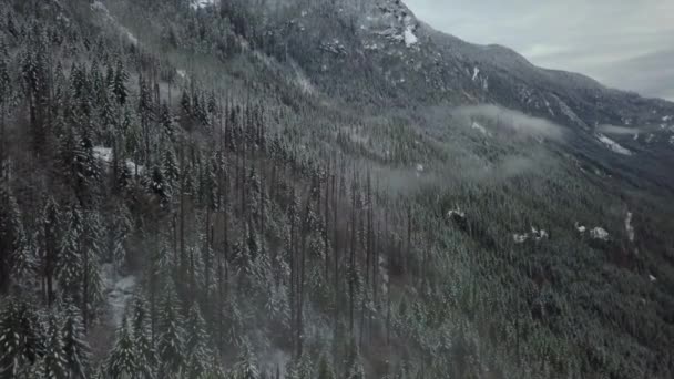 Weitwinkelaufnahme Eines Zugefrorenen Bewölkten Tals Vancouver Island Kanada — Stockvideo
