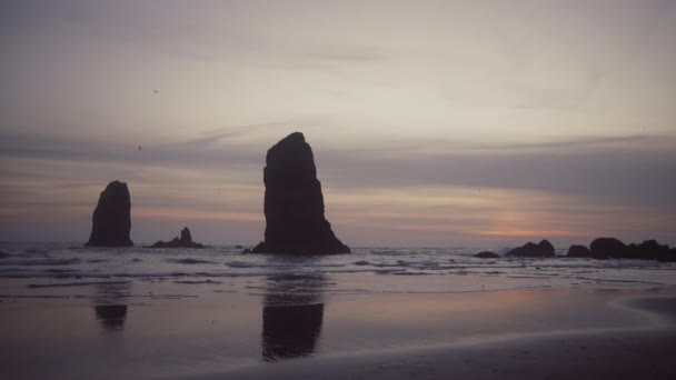 Okyanustaki Deniz Yığını Cannon Beach Twilight Oregon Abd — Stok video