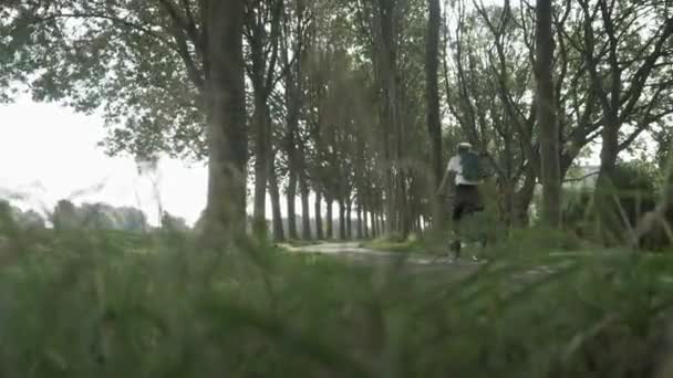 女性木や草で公園で自転車に乗る 女性の自転車とサイクリング晴れた日のヨーロッパで バックパック付き屋外ショット — ストック動画
