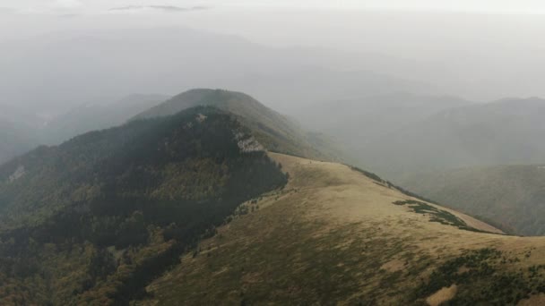 Uppstigande Antenn Skott Dimmig Topp Täckt Med Några Evergreens Slovakien — Stockvideo