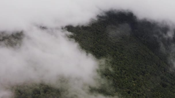 Latanie Nad Białą Chmurą Pokrywającą Zielony Las Strzał Powietrza — Wideo stockowe