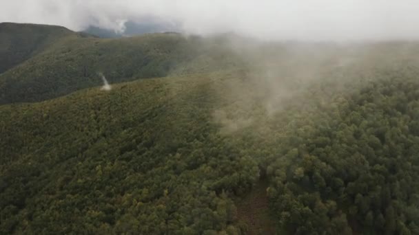 Latanie Nad Zielonym Lasem Pochmurny Dzień Przez Chmury Zdjęcia Lotnicze — Wideo stockowe