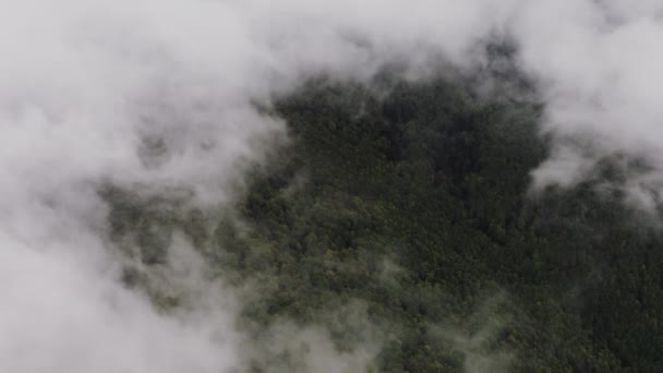 Okno Chmurach Zielonym Lasem Pod Spodem Zdjęcia Lotnicze Słowacja — Wideo stockowe