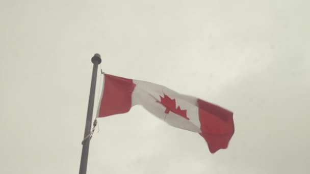 Canadian Flag Pole Waving Wind Cloudy Sky — Video Stock