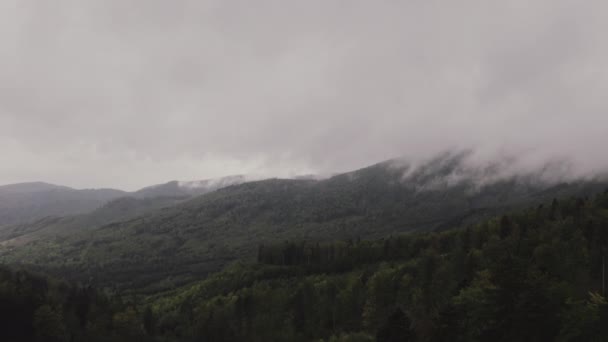 Zpětné Přeletění Zamračeného Věčně Zeleného Lesa Vzdušný Slovensko — Stock video