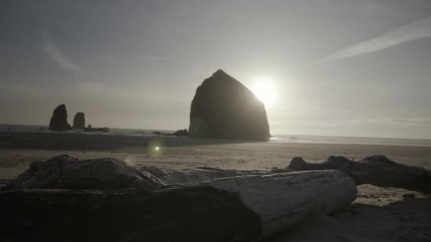 Panning Medium Shot Wooden Log Haystack Rock Background Ηλιόλουστη Μέρα — Αρχείο Βίντεο