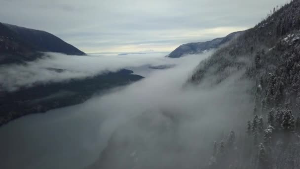캐나다 밴쿠버 안개로 뒤덮인 계곡의 — 비디오