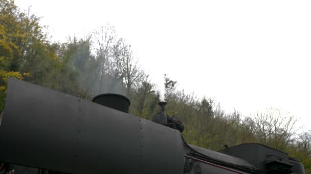 蒸気機関車の煙突煙が出てくる 緑と白の背景に黒い列車 曇った空 — ストック動画
