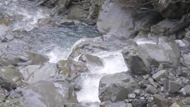 新西兰岩石溪流中的流水 — 图库视频影像
