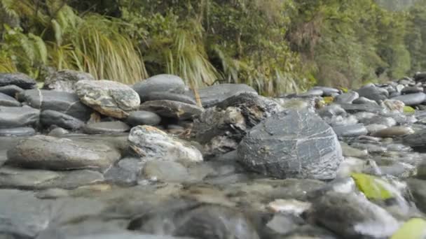 Primo Piano Colpo Acqua Che Scorre Lungo Ruscello Ciottoli Rocce — Video Stock