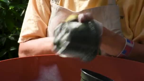 Очищайте Цветочный Горшок Мылом Водой — стоковое видео