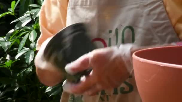 Scrub Cleaning Flower Pot Soap Water Close — 图库视频影像