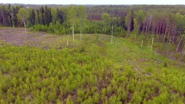 Slowly Descending Panning Right Left Aerial Video Logging Area Stand — Video Stock