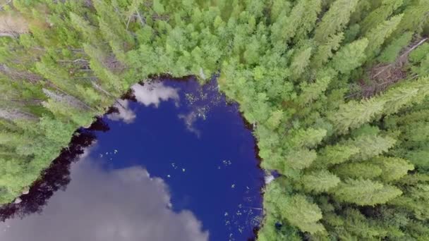 Vidéo Aérienne Drone Montant Surface Lac Pour Voir Des Arbres — Video