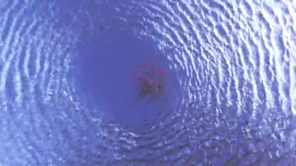 Noční Video Drona Vznášejícího Vznášejícího Vody Stoupajícího Výš Finsko Červen — Stock video