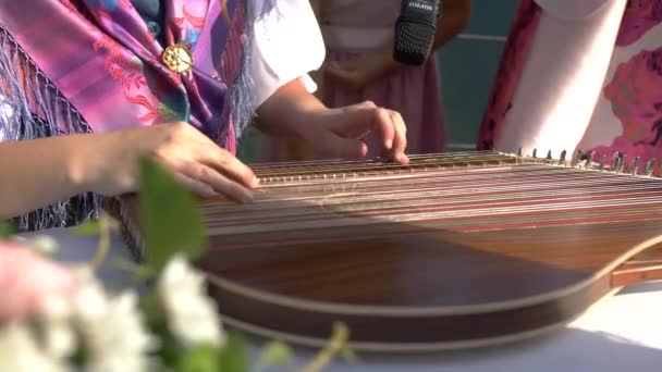 Primer Plano Jugadora Femenina Cítara Eslovenia Tradicionalmente Vestido Músico Tocando — Vídeos de Stock