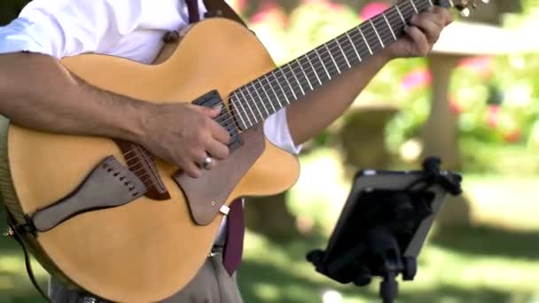 Closeup Male Guitarist Wedding Reception Vintage Dressed Guitar Player Garden — Stock Video