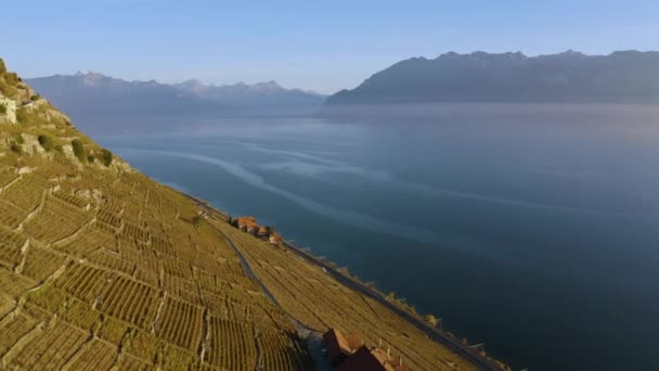 Volando Bajo Sobre Lago Lman Frente Viñedo Lavaux Pasando Junto — Vídeos de Stock